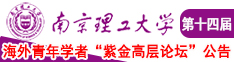 爽不要停嗯呐啊南京理工大学第十四届海外青年学者紫金论坛诚邀海内外英才！